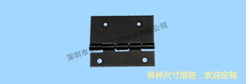 鉚螺絲特種鉸鏈（liàn）